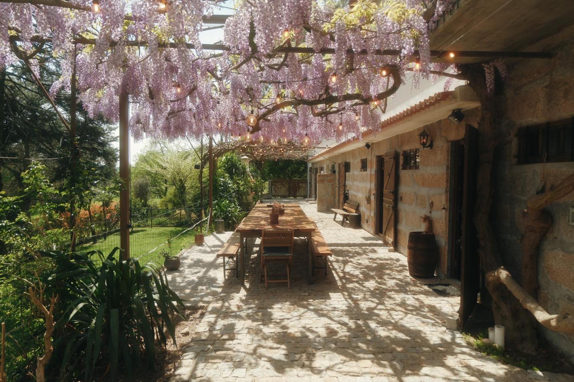 Casa Da Alvarinha Privacidade Conforto Natureza Paredes  Ngoại thất bức ảnh
